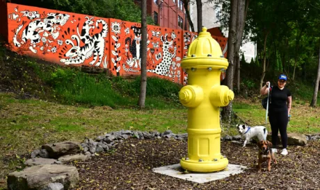 Bow-WOW! Volunteers bring new life to Stanley's Spot